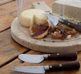 Costa Nova Cheese Knives S/3 - Brushed
