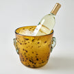 Half Past Seven Brown Tortoise Ice Bucket