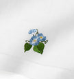 Sferra Fiorenza Guest Towel - Morning Glory