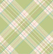 Hester & Cook Bright Green Plaid Paper Cocktail Napkins