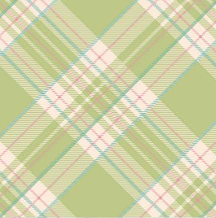 Hester & Cook Bright Green Plaid Paper Cocktail Napkins