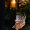 Simon Pearce Engraved Forest Ascutney Double Old Fashioned Glasses - Set of 2