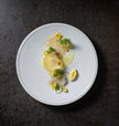 Costa Nova Friso Dinner Plate