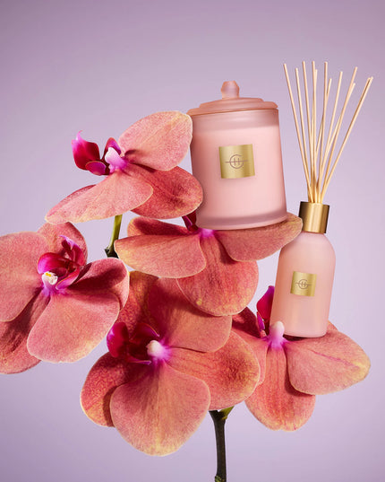 Glasshouse Radiance in Bloom Candle