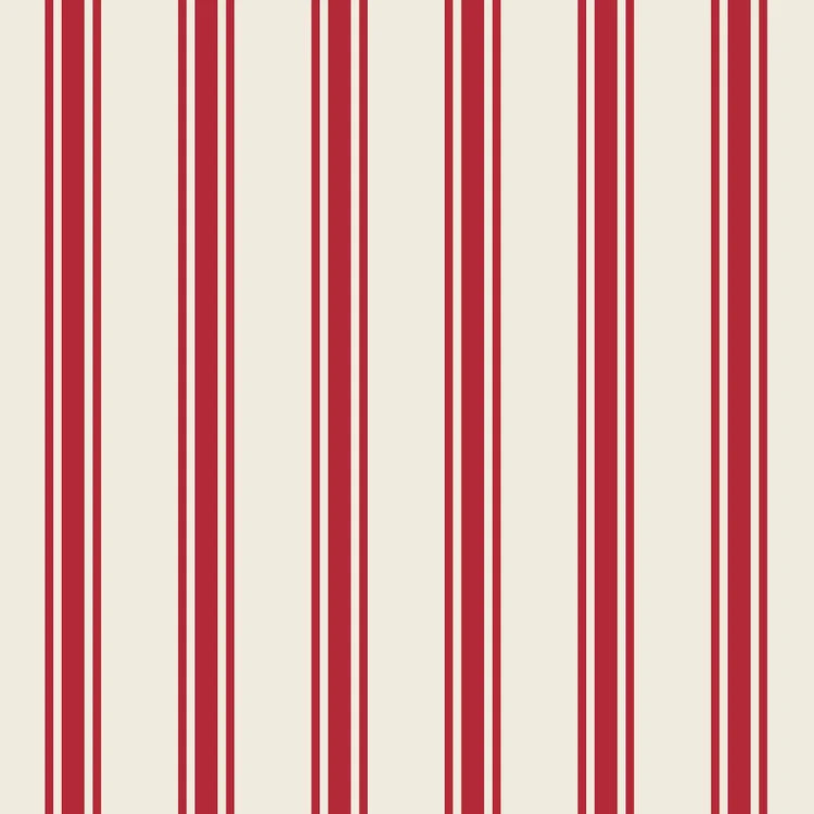 Hester & Cook Red Stripe Paper Cocktail Napkins