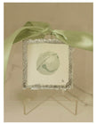 Porter Rivers Ornament