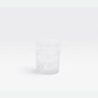 Blue Pheasant Aaron Tumbler - Clear