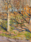 Rebecca Robinson Kaleidoscope