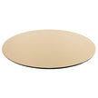 Caspari Platinum Lizard Placemats